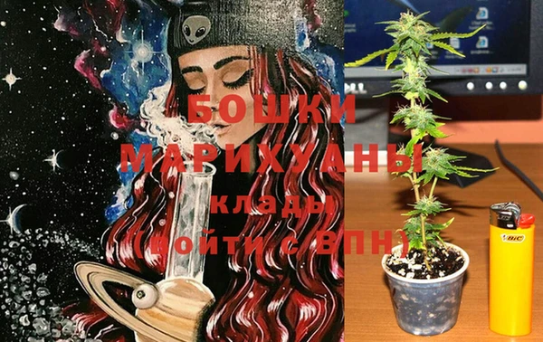 дурь Горнозаводск