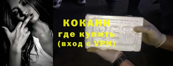 ешки Горняк