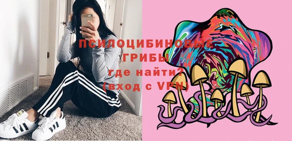дурь Горнозаводск