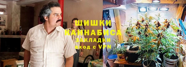 дурь Горнозаводск