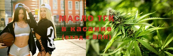 ешки Горняк