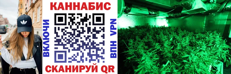 Купить  Усть-Кут  Бошки Шишки Amnesia 